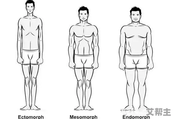 肌肉猛男体育生自-慰的心理因素与身体形象关系研究：对大学生群体的实证分析