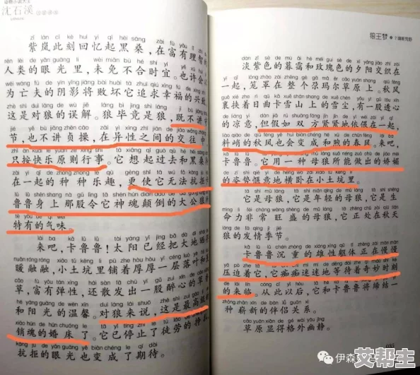 香艳激情爽文小说：当代文学中的热潮与争议，读者如何看待情感与欲望的交织？