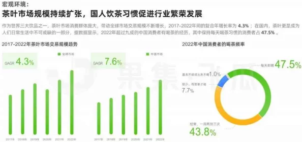 国产精品骆驼趾在线：最新动态揭示市场趋势与消费者偏好，助力品牌创新与发展