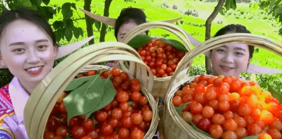 fruit回家永不迷路：揭秘水果的生长习性与种植技巧，助你轻松辨识新鲜水果之旅和回家的方向感