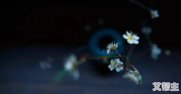 在日日噜噜夜夜的旋律中，感受丁香花香带来的心灵宁静与生活的无限可能