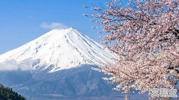 日本旅游网站推荐 这里有丰富的景点信息和实用的旅行攻略让你的日本之行更加顺利愉快