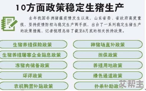 国内一级纶理片免费政策实施以来市场反响热烈生产企业纷纷加大产能以满足需求