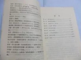 黄色小说文：探索文学的多样性与创新表达方式