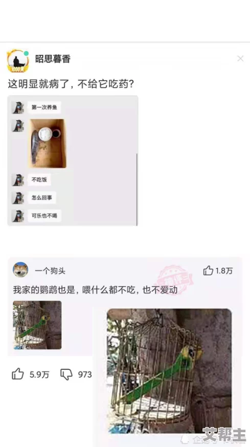 男人天堂亚洲色图网友推荐这是一款非常受欢迎的应用程序提供丰富多彩的图片资源满足用户的各种需求值得一试