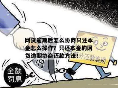 伊洛纳游戏中如何有效解雇队友：最新方法与注意事项详解