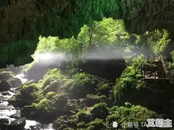 好大好舒服视频 让我们一起享受自然的壮丽风光和生活的美好瞬间