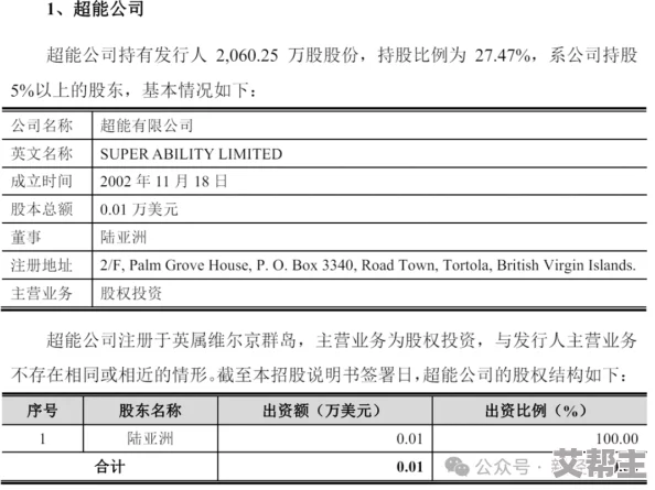 亚洲综合久久一本伊伊区提供多样化内容满足不同兴趣爱好者需求